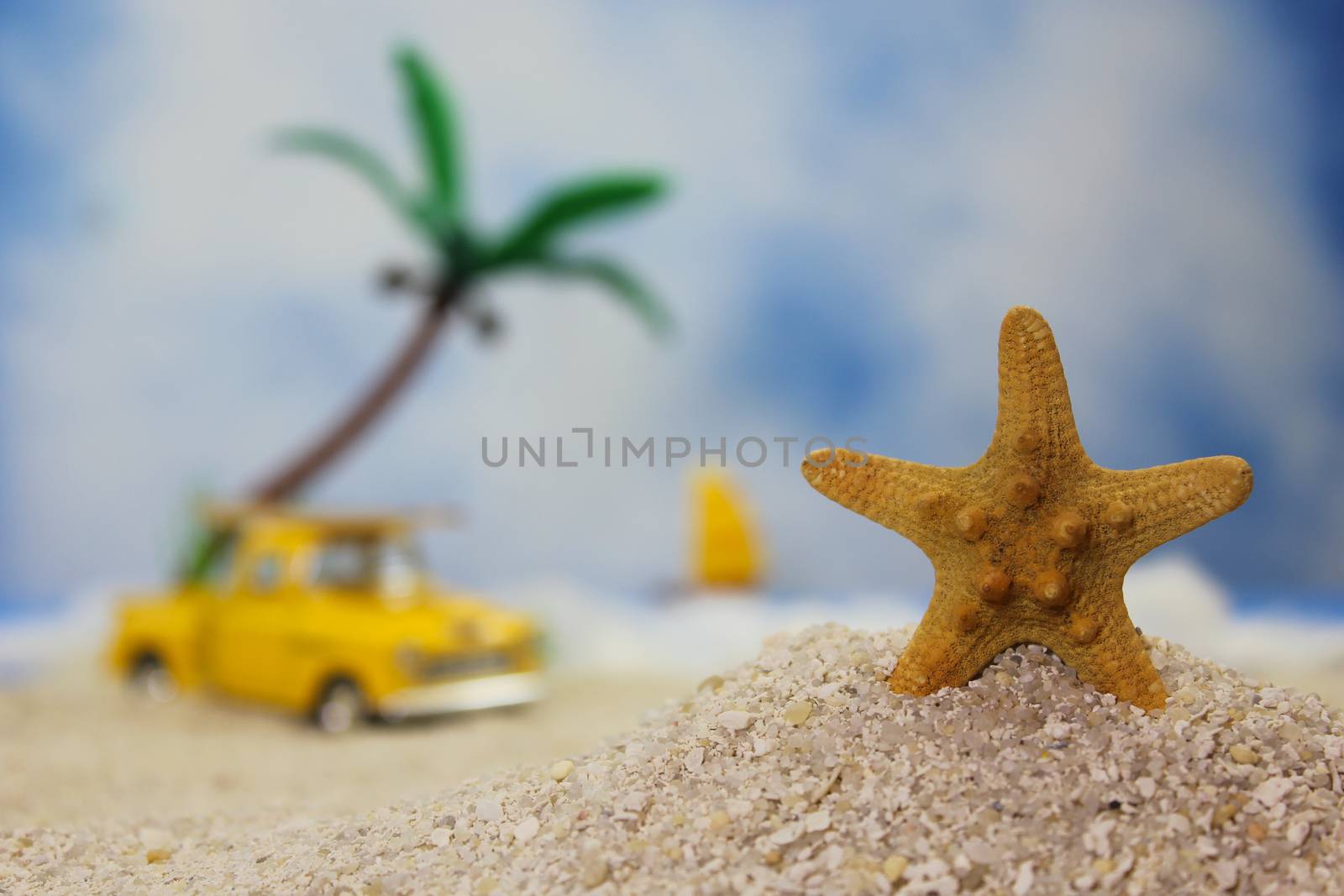 Seashell on Tropical Beach With Vintage Hot Rod by Marti157900