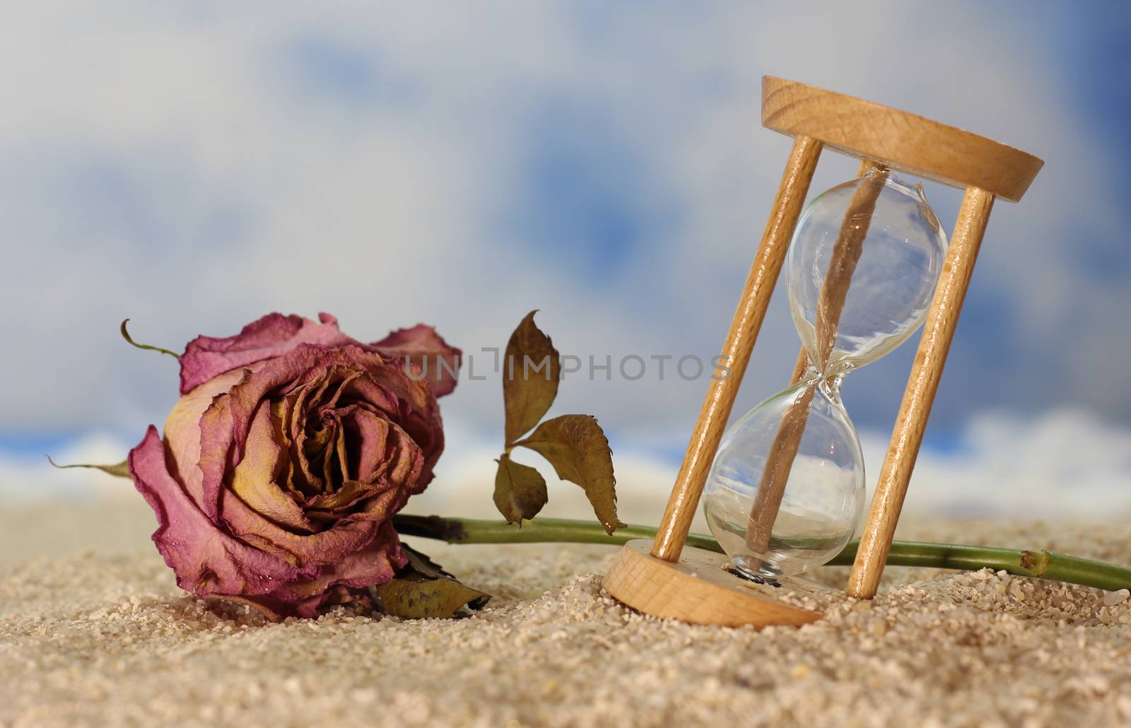 Dried Rose and Broken Hourglass by Marti157900