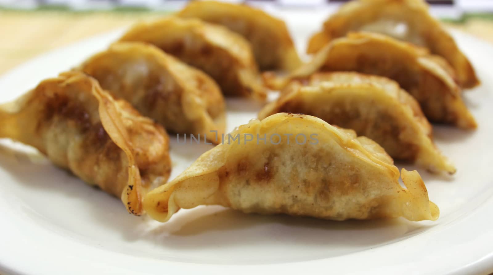 Asian Fried Dumplings by Marti157900