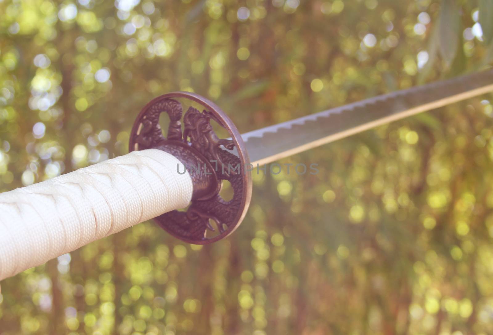 Katana Samurai Sword With Bamboo Forest Background.