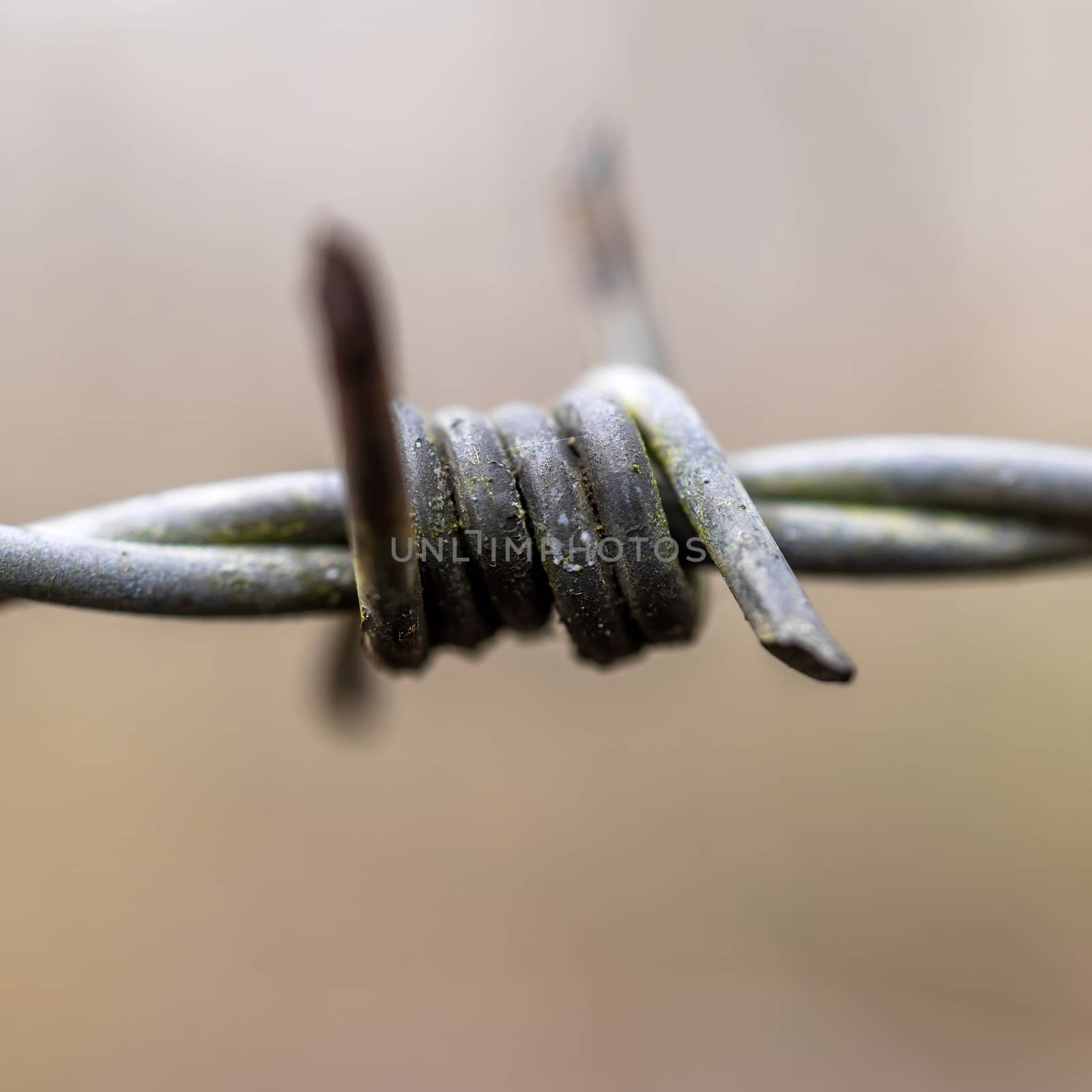 Close-up of an old barbed wire with remains of green paint and r by geogif