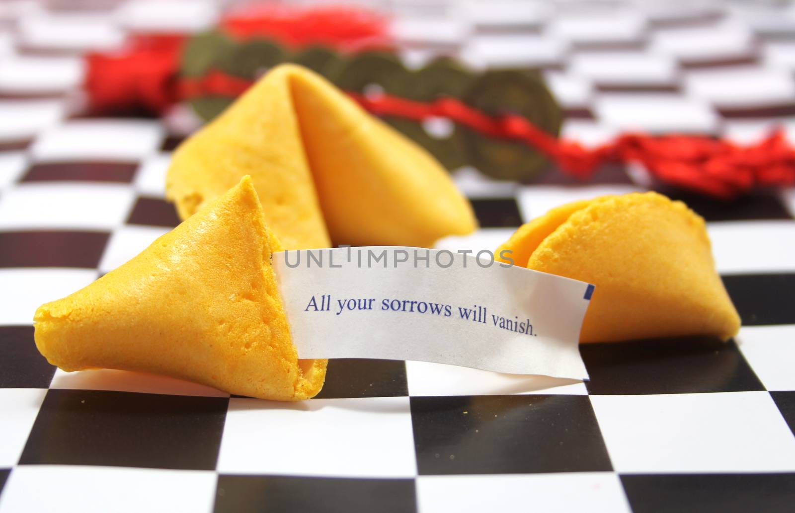 Fortune Cookie by Marti157900