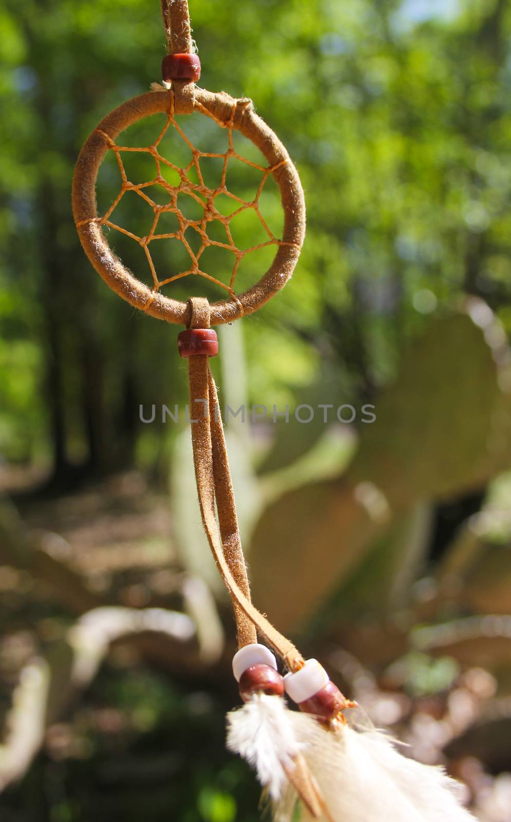 Dreamcatcher outdoors with cactus in background