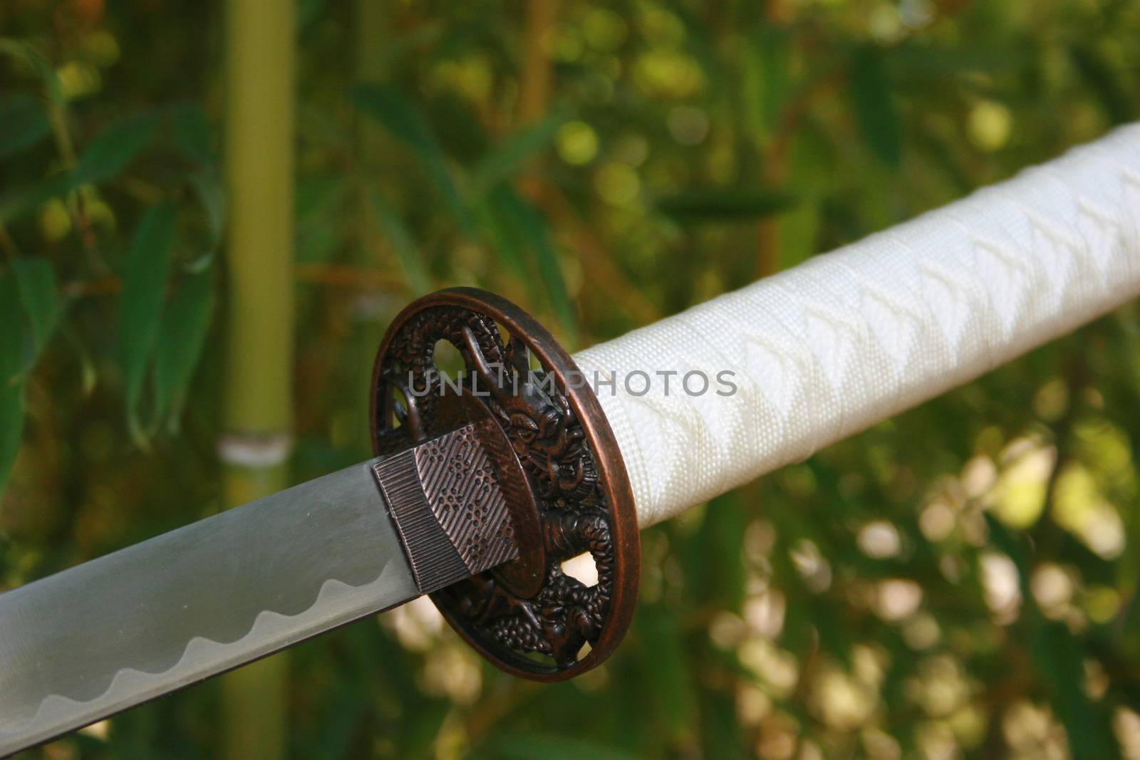 Katana Samurai Sword With Bamboo Forest Background.
