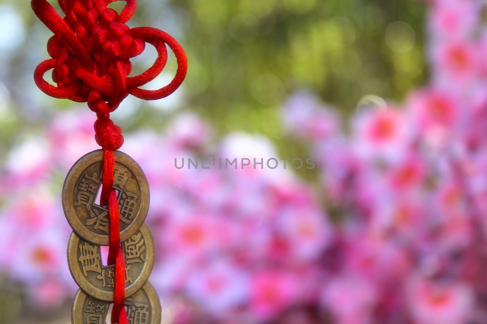 Chinese Feng Shu Wealth and Success Coins with Knot. Chinese New Year Decoration