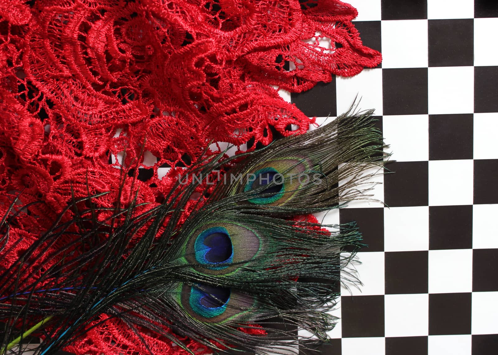 Red Lace and Peacock Feathers on Black and White Checkerboard by Marti157900