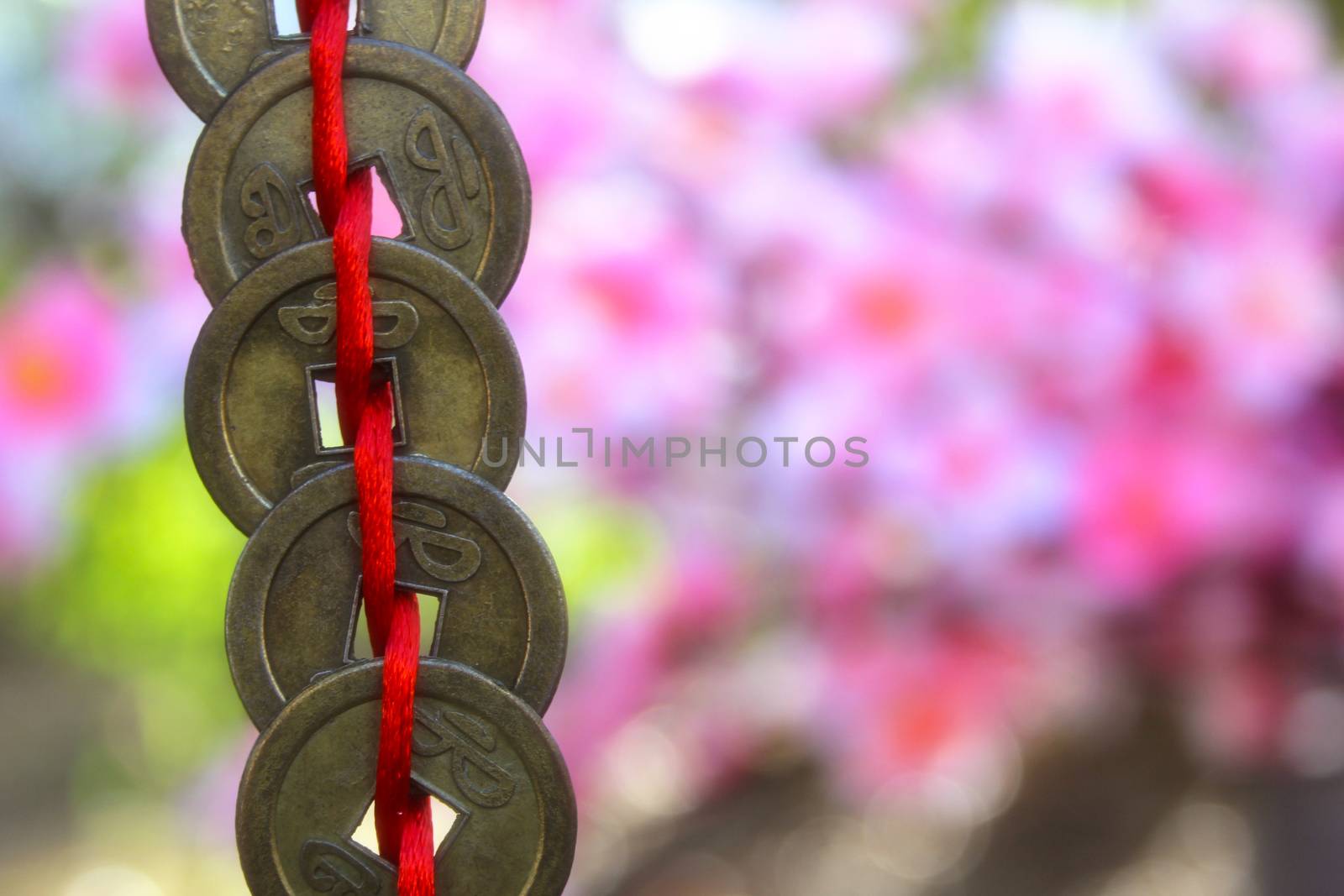 Chinese Wealth and Success Coins With Cherry Blossoms in Background