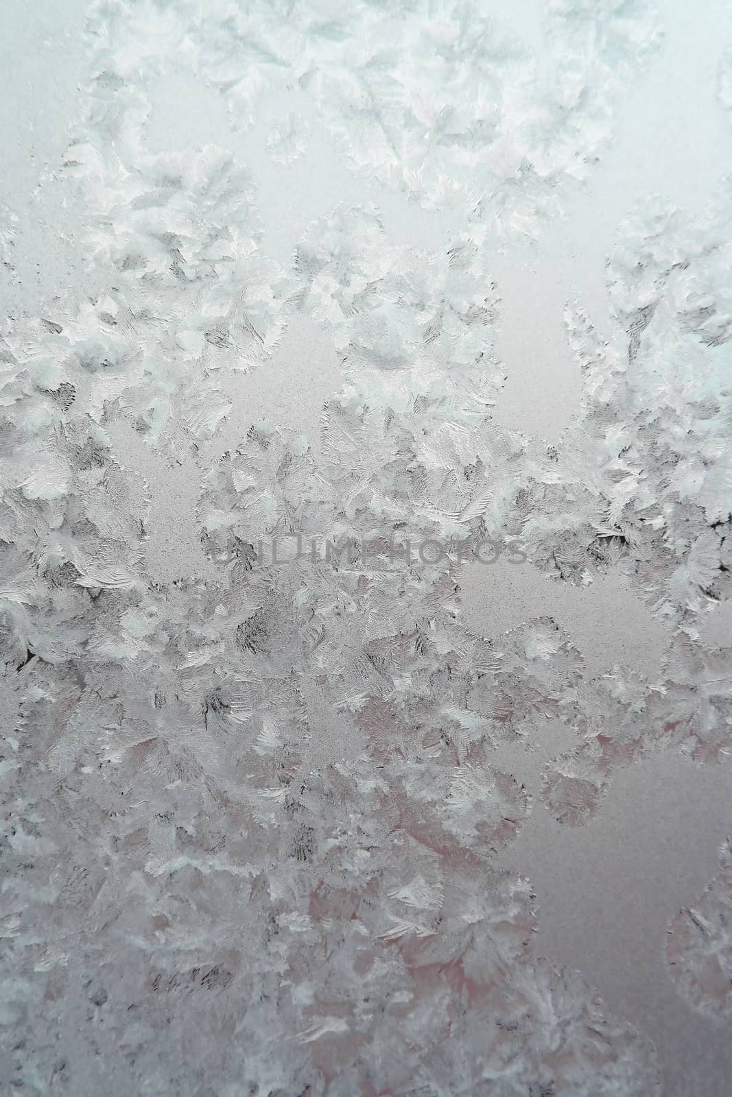 Abstract texture, pattern frost on the window, view macro. Shallow dof