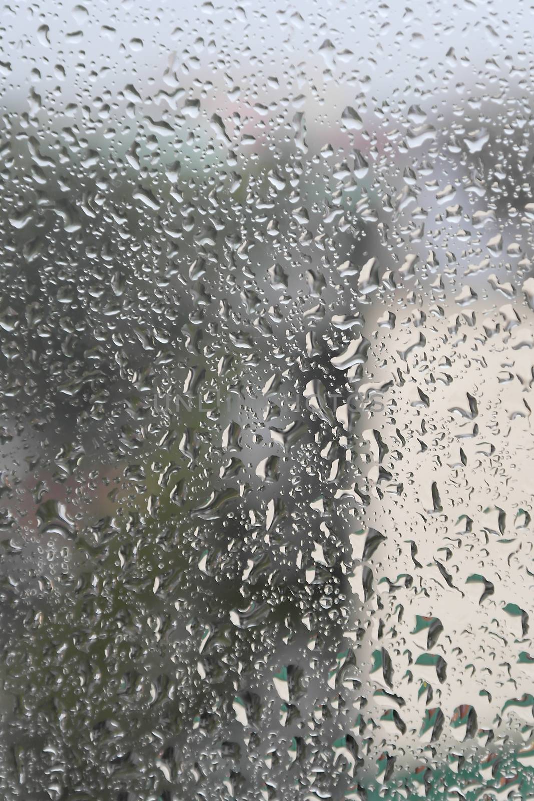 On a summer raining day. Drops of water on the window. Shallow DOF