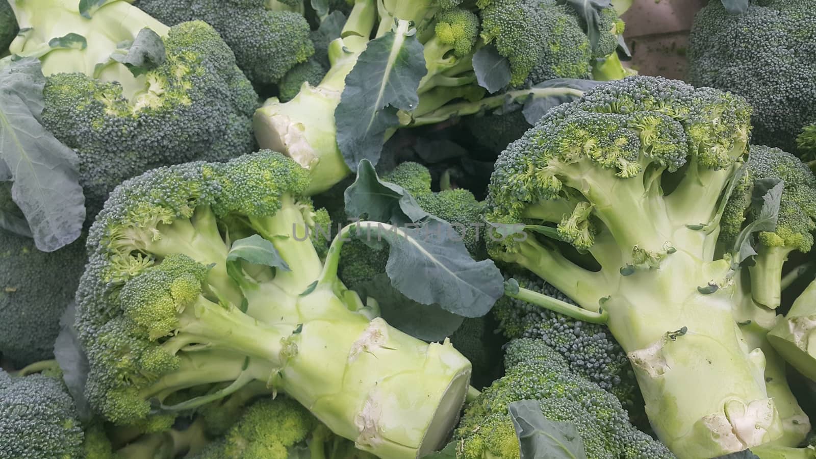 Vegetable background: Broccoli cabbage  green pile in supermarket. It is full of vitamins, minerals, fiber and antioxidants.