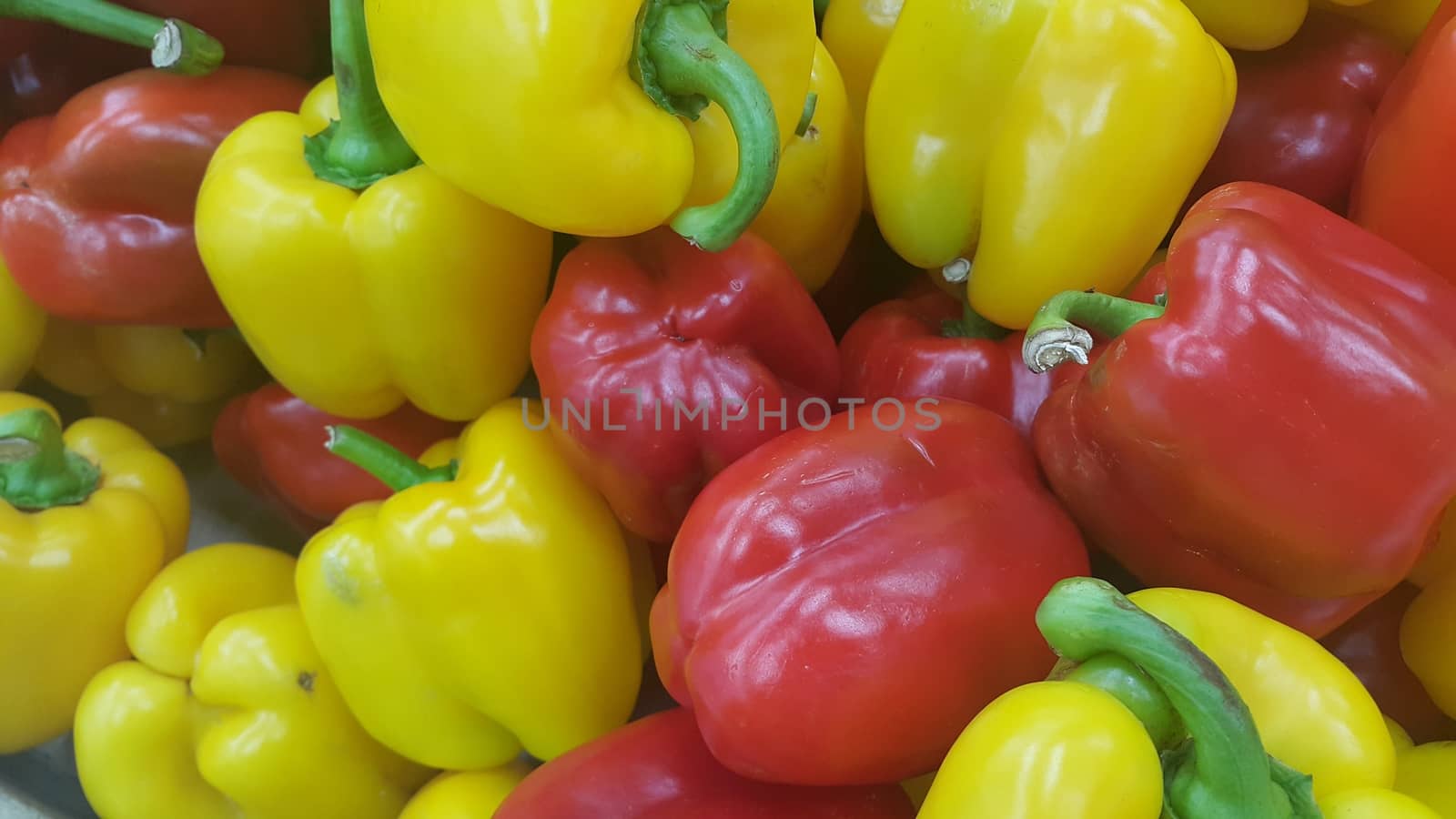 Several colorful green, yellow, red, purple hot shiny Shimla chilli or peppers by Photochowk