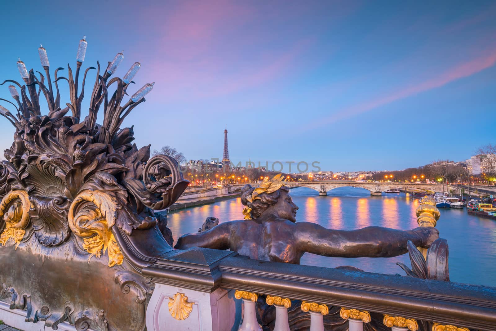 The Alexander III Bridge across Seine river in Paris, France by f11photo