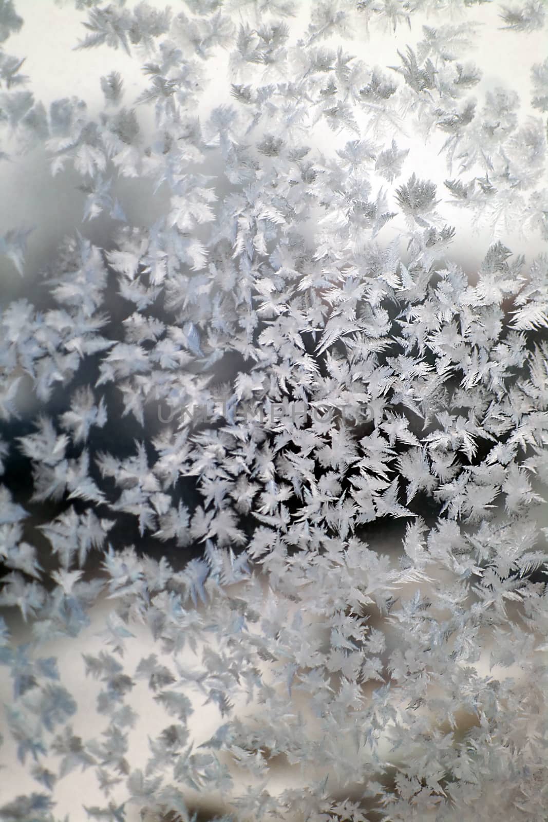 Abstract texture, pattern frost on the window, view macro. Shallow dof