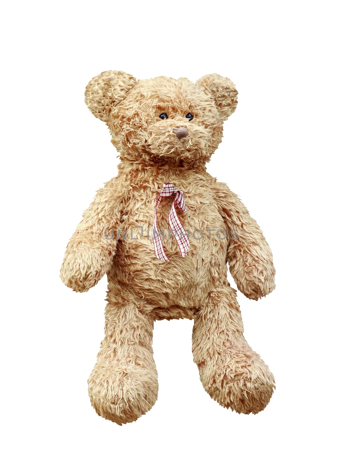 Teddy Bear brown, Teddy Bear doll isolated on white background by cgdeaw