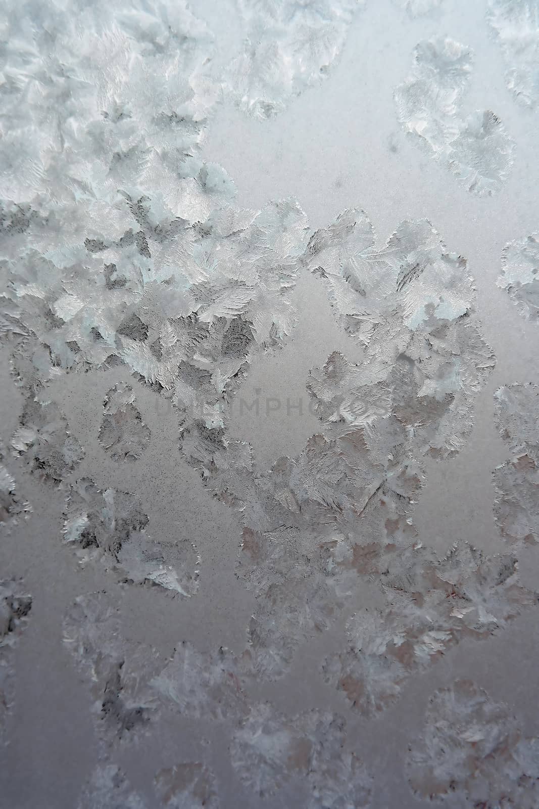 Abstract texture, pattern frost on the window, view macro. Shallow dof