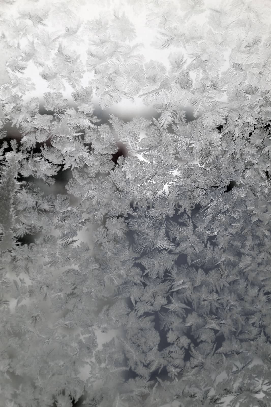 Abstract texture, pattern frost on the window, view macro. Shallow dof