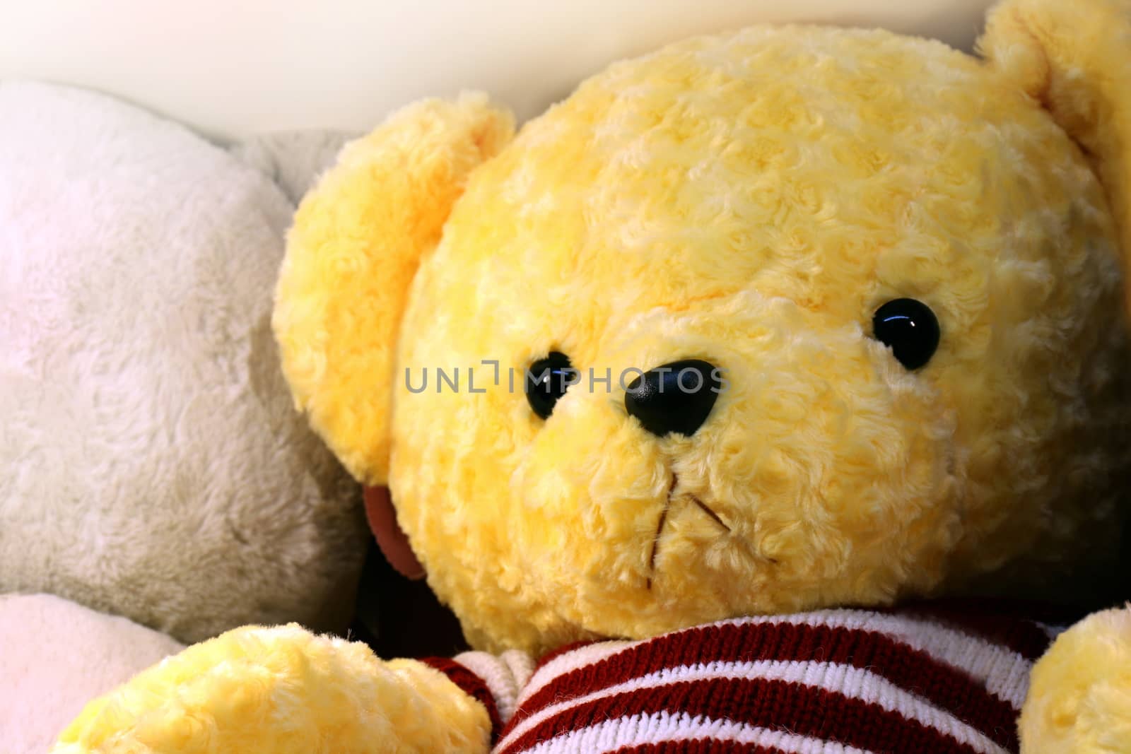 doll cute teddy bear yellow face close up, little bear doll, face teddy bear (selective focus)