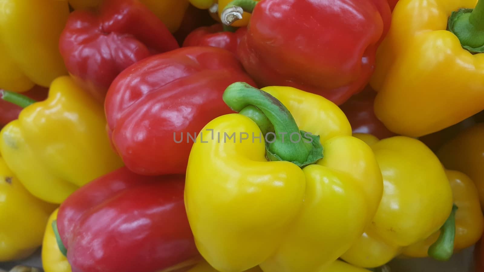 Several colorful green, yellow, red, purple hot shiny Shimla chilli or peppers by Photochowk