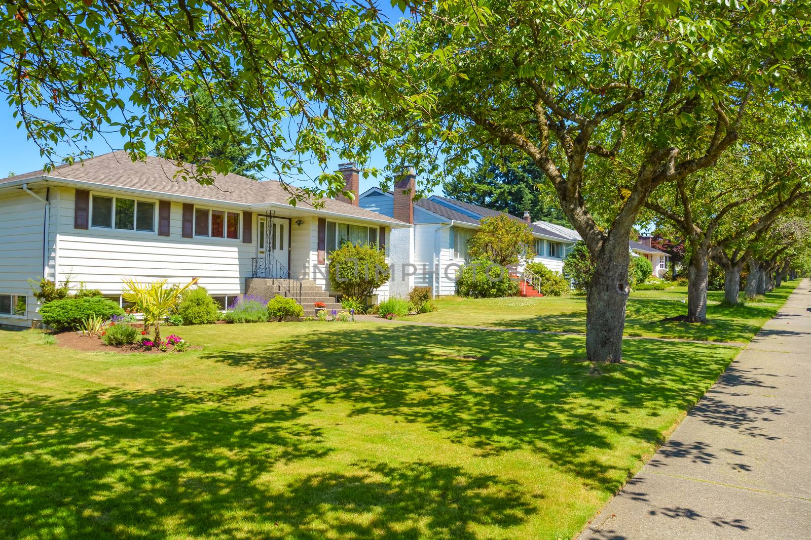 Average residential house in perfect neighbourhood on sunny day. Family house with big green lawn and trees in front on blue sky background