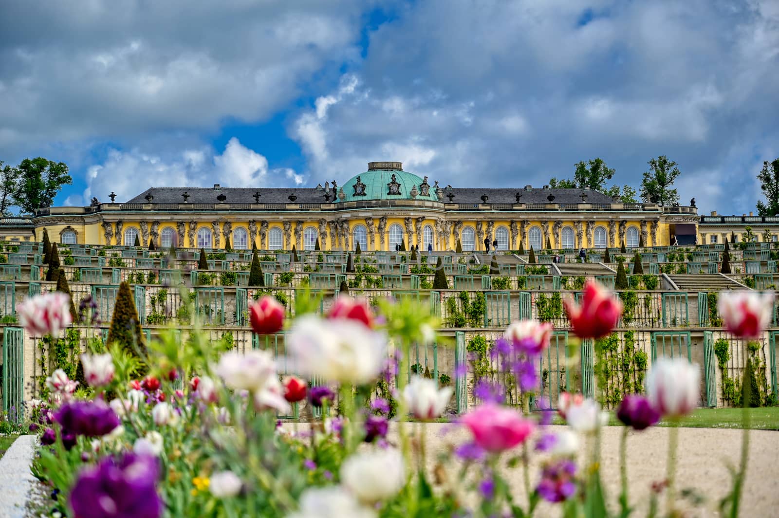 An exterior view of the Sanssouci Palace located in Sanssouci park in Potsdam, Germany.