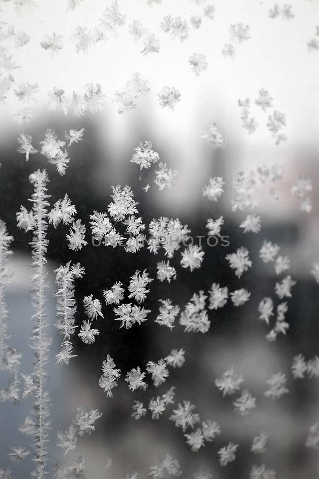 Abstract texture, pattern frost on the window, view macro. Shallow dof