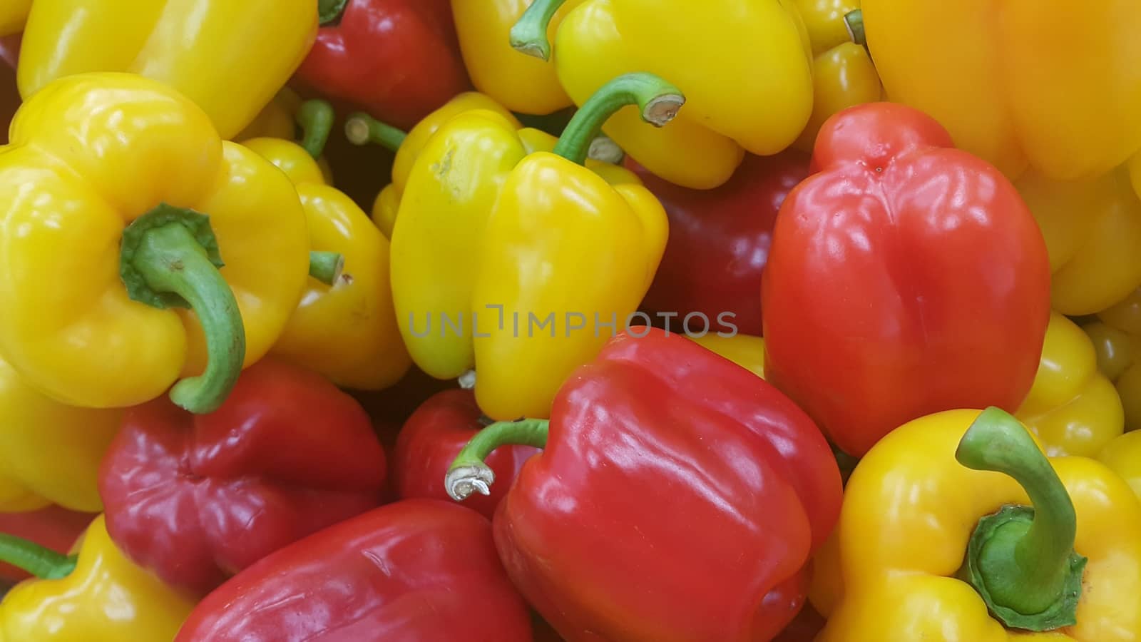 Several colorful green, yellow, red, purple hot shiny Shimla chilli or peppers by Photochowk