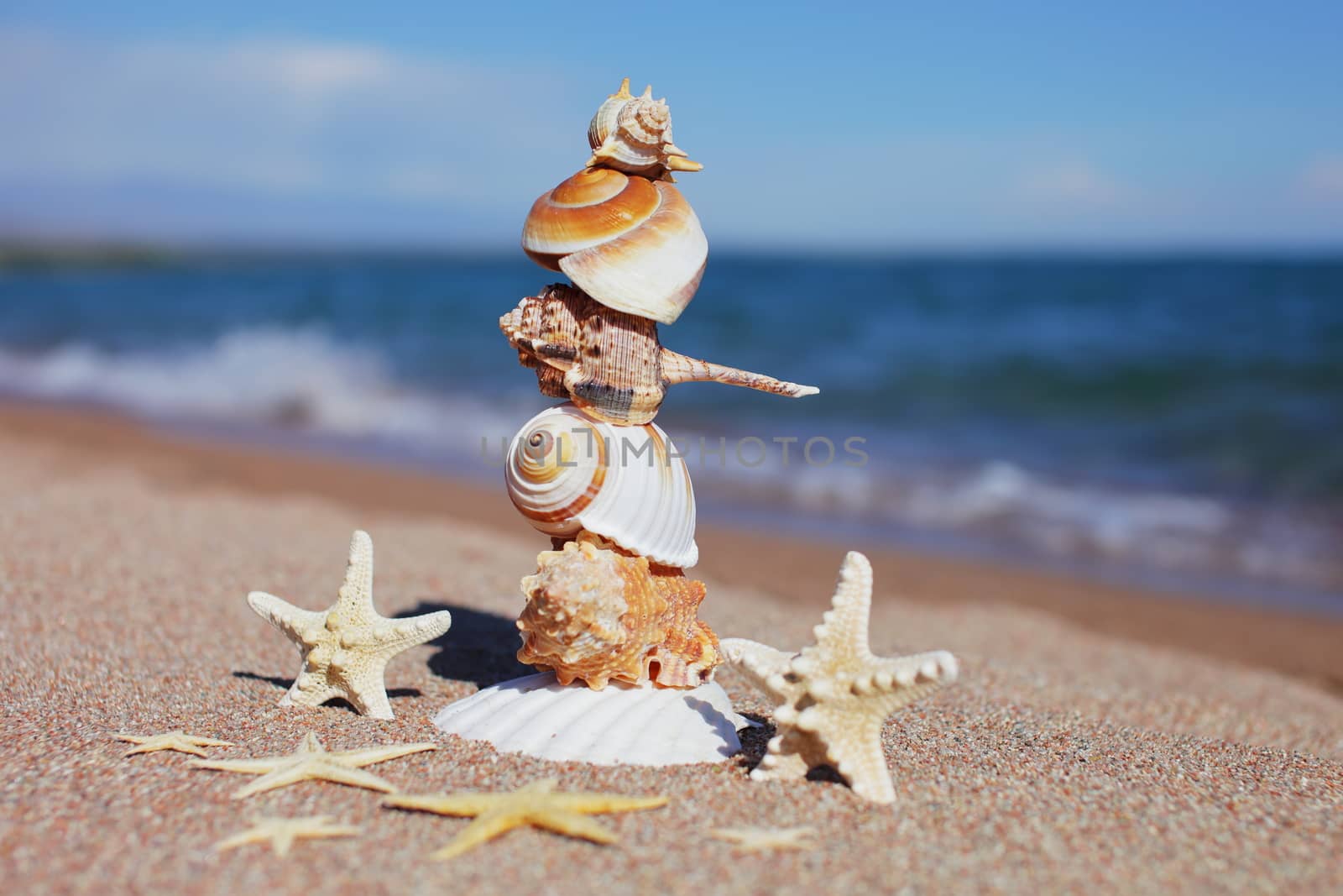 Sea shells and starfish on the beach. Sandy beach with waves. Summer vacation concept. Holidays by the sea by selinsmo