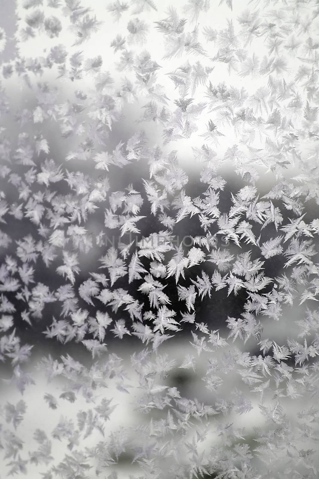 Abstract texture, pattern frost on the window, view macro. Shallow dof