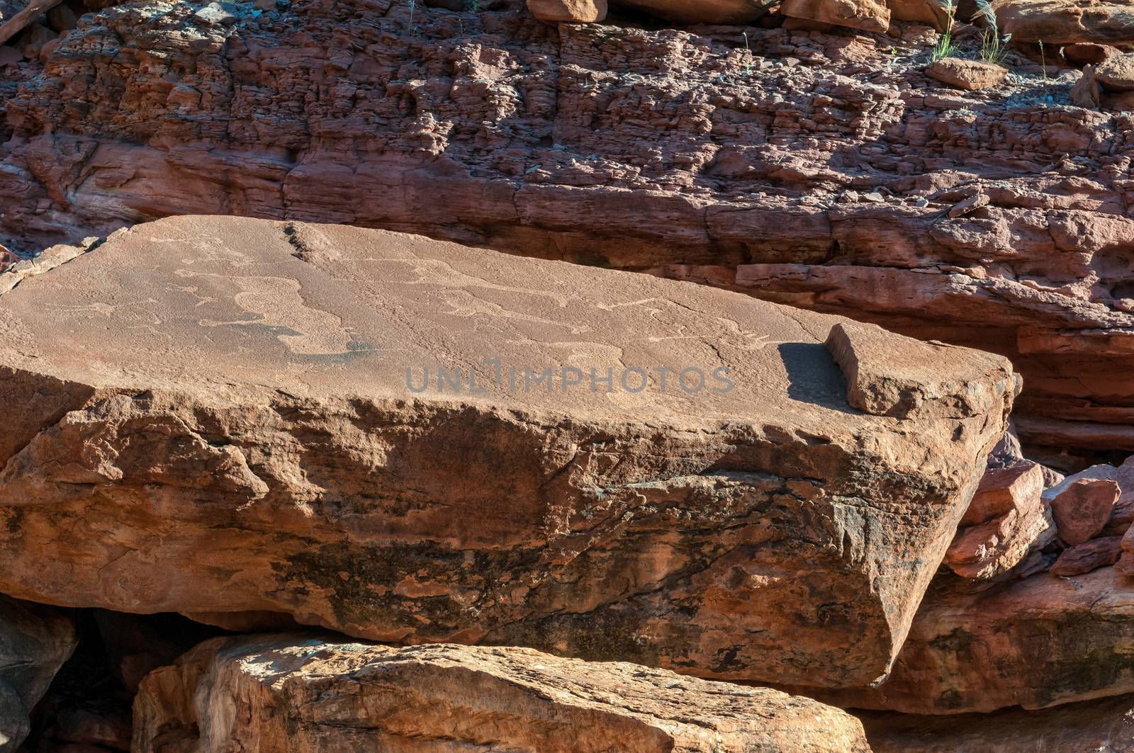 Rock engravings at Twyfelfontein in Damaraland, Namibia