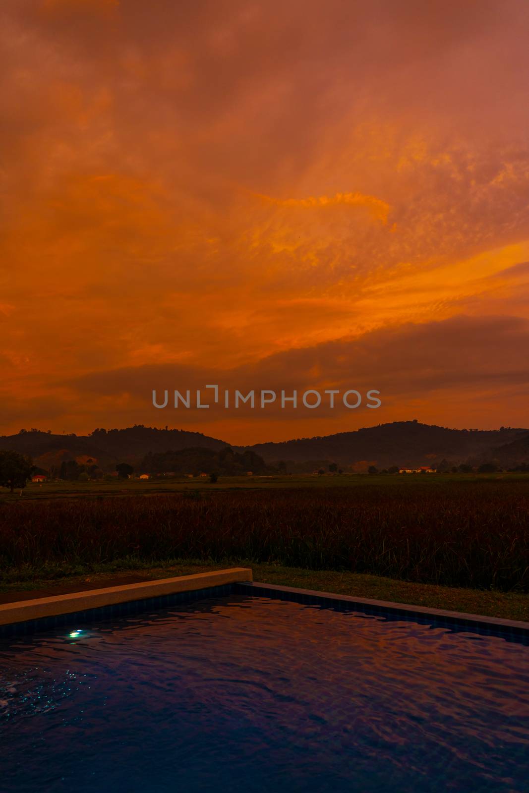 Unusual orange fiery sunset in the tropics. View from the pool to a rice field and mountains.