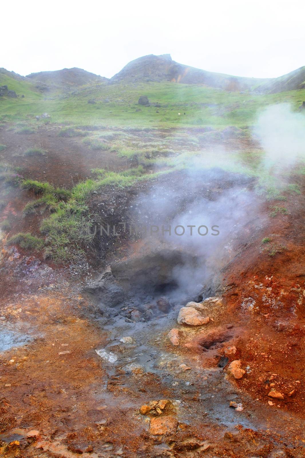 Reykjadalur Hot Spring Thermal River, Iceland