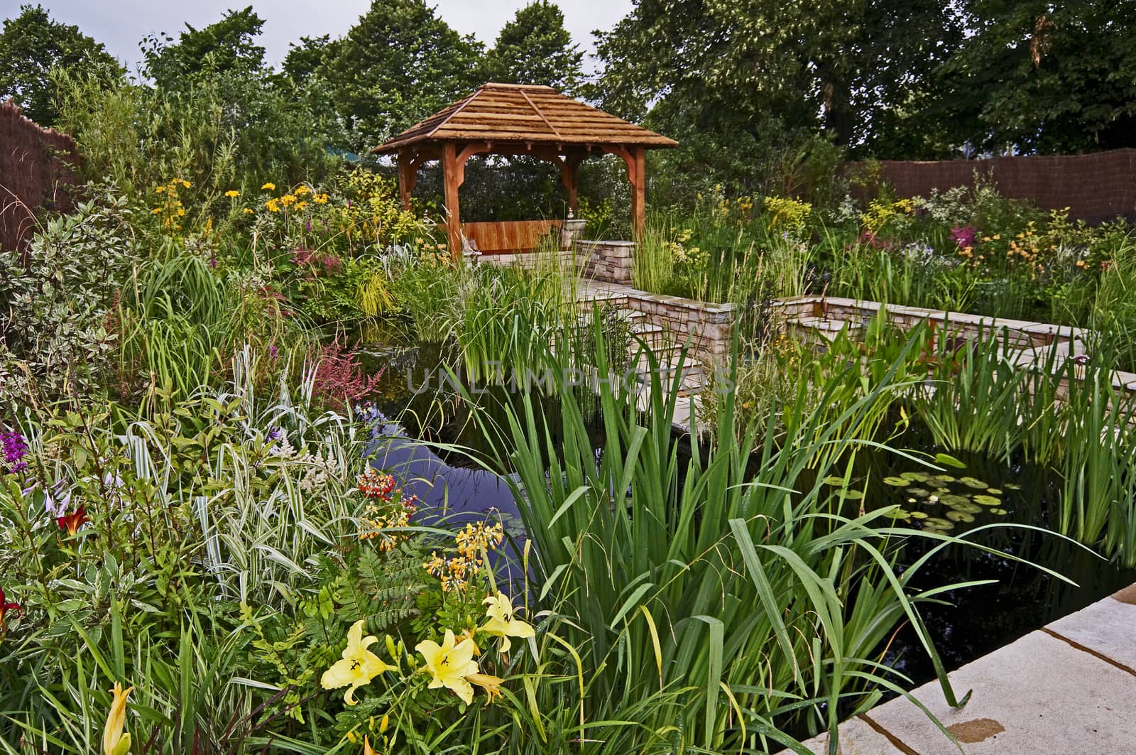 A colourful garden with water features a summer house and exotic plants and flowers