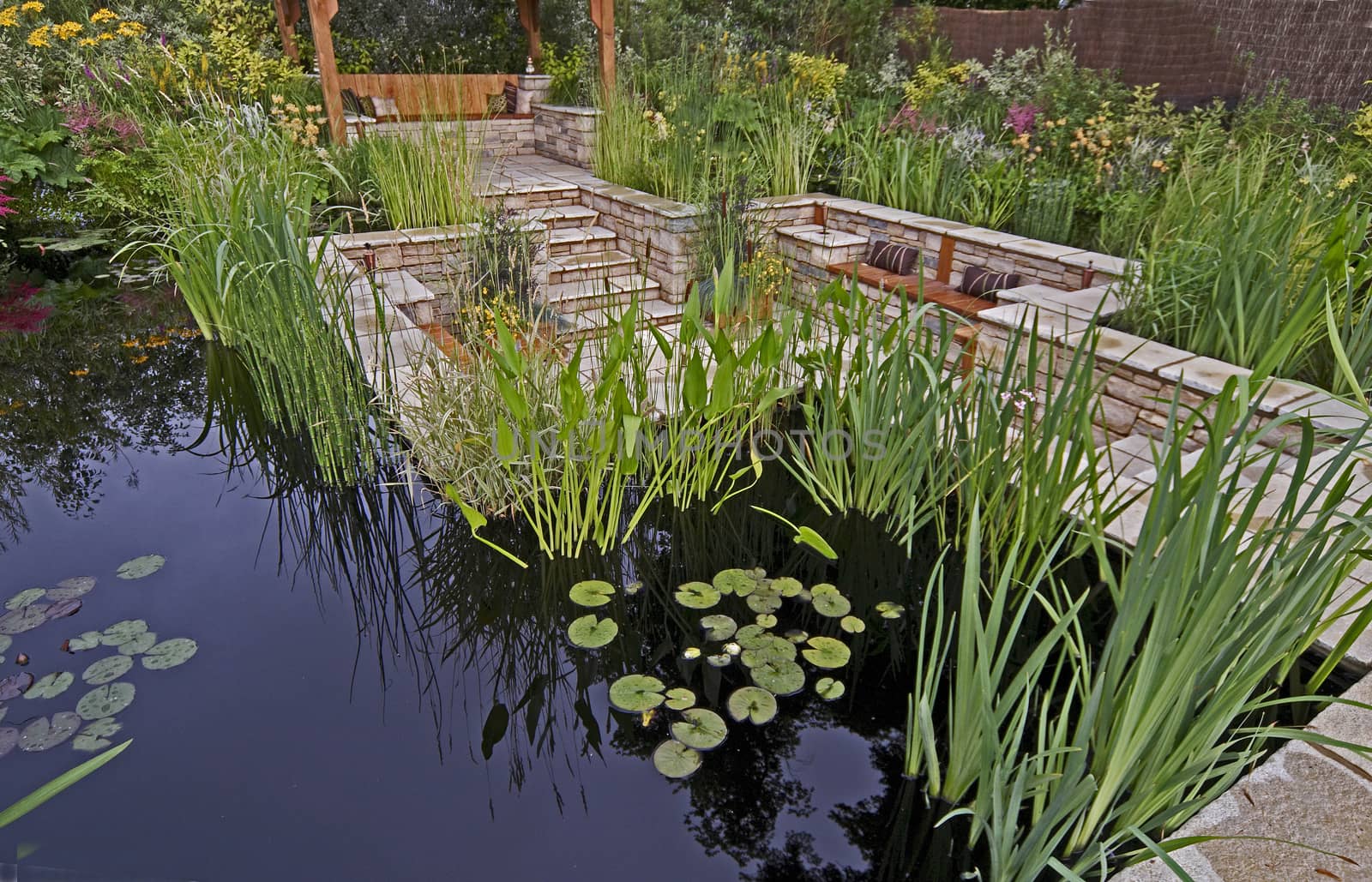 A colourful garden with water features a summer house and exotic plants and flowers