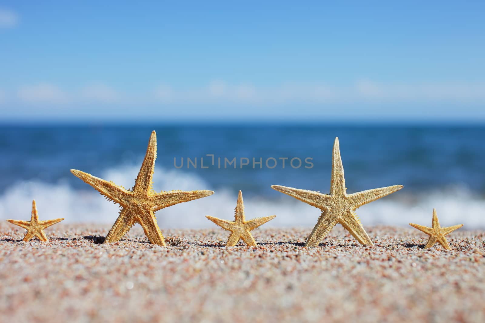 Starfish on the beach. Sandy beach with waves. Summer vacation concept. Holidays by the sea. High quality photo