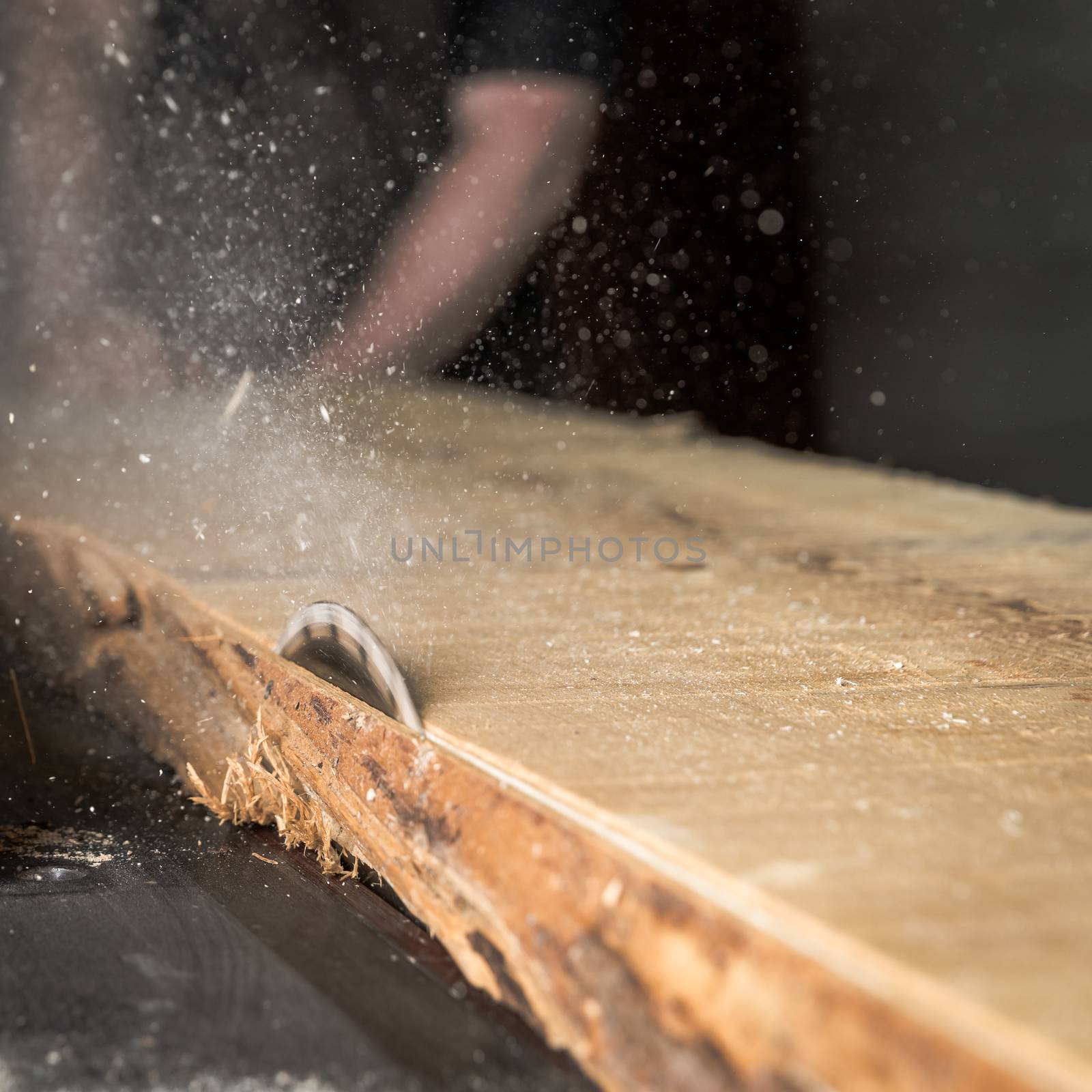 A man cuts wood on a circular saw in a joinery by Edophoto