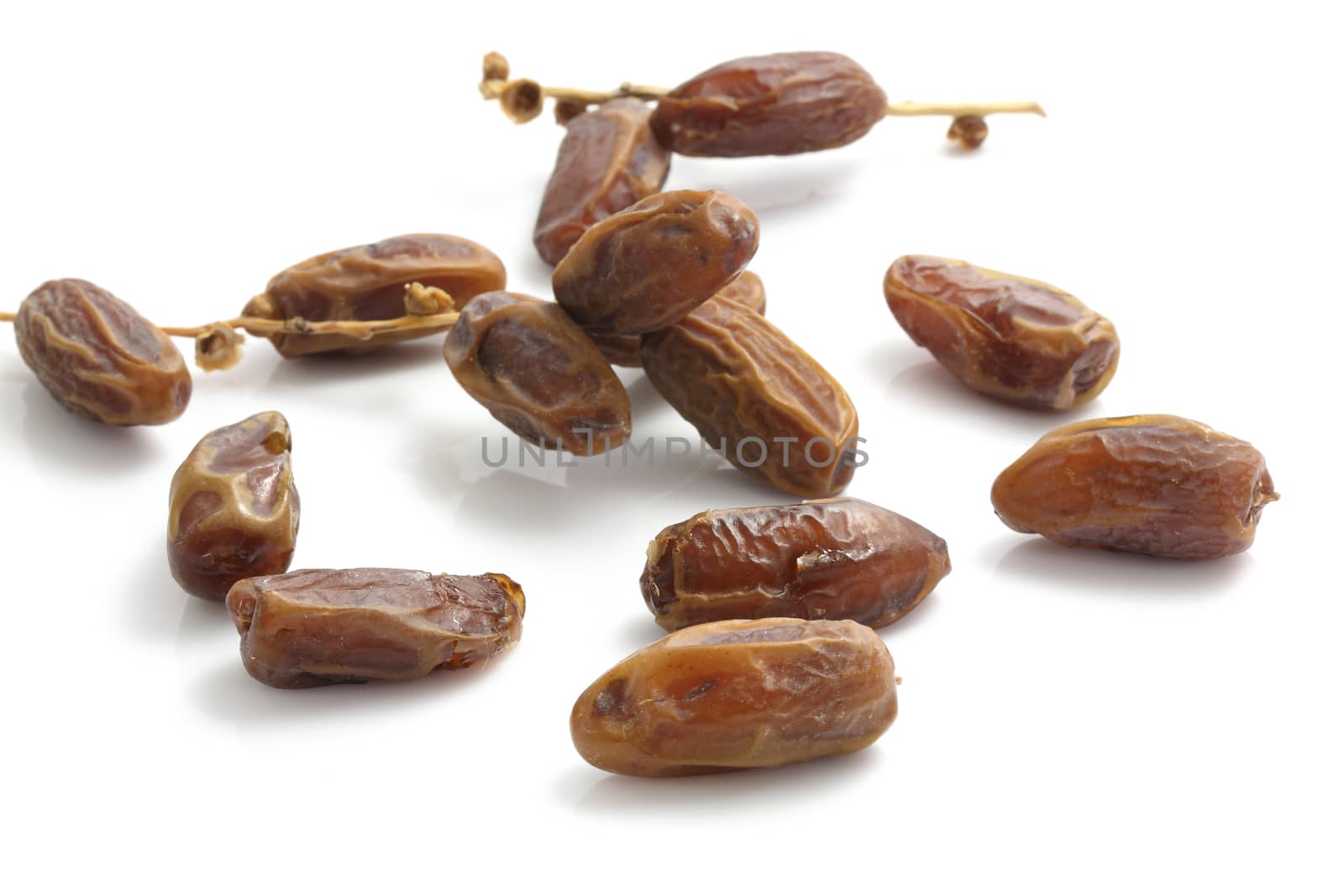 date palm isolated in white background