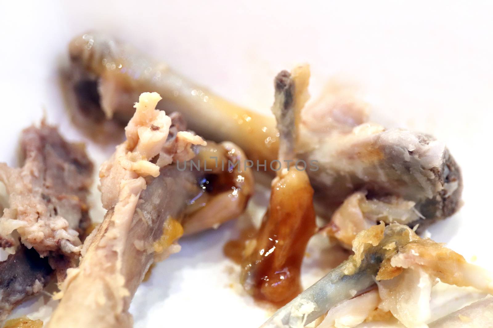 leftovers food chicken bone, waste food, chicken bone from eating, fried chicken bone waste food (selective focus) by cgdeaw