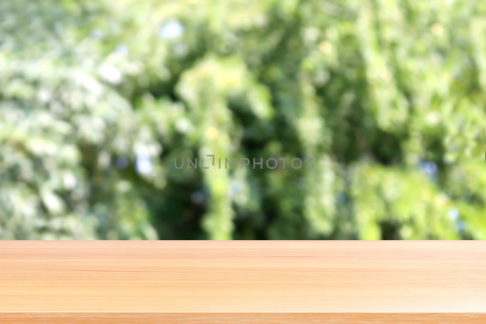 empty wood table floors on blurred tree nature green forest background, wood table board empty front blur tree, wooden plank blank with perspective brown wood table for mock up display products