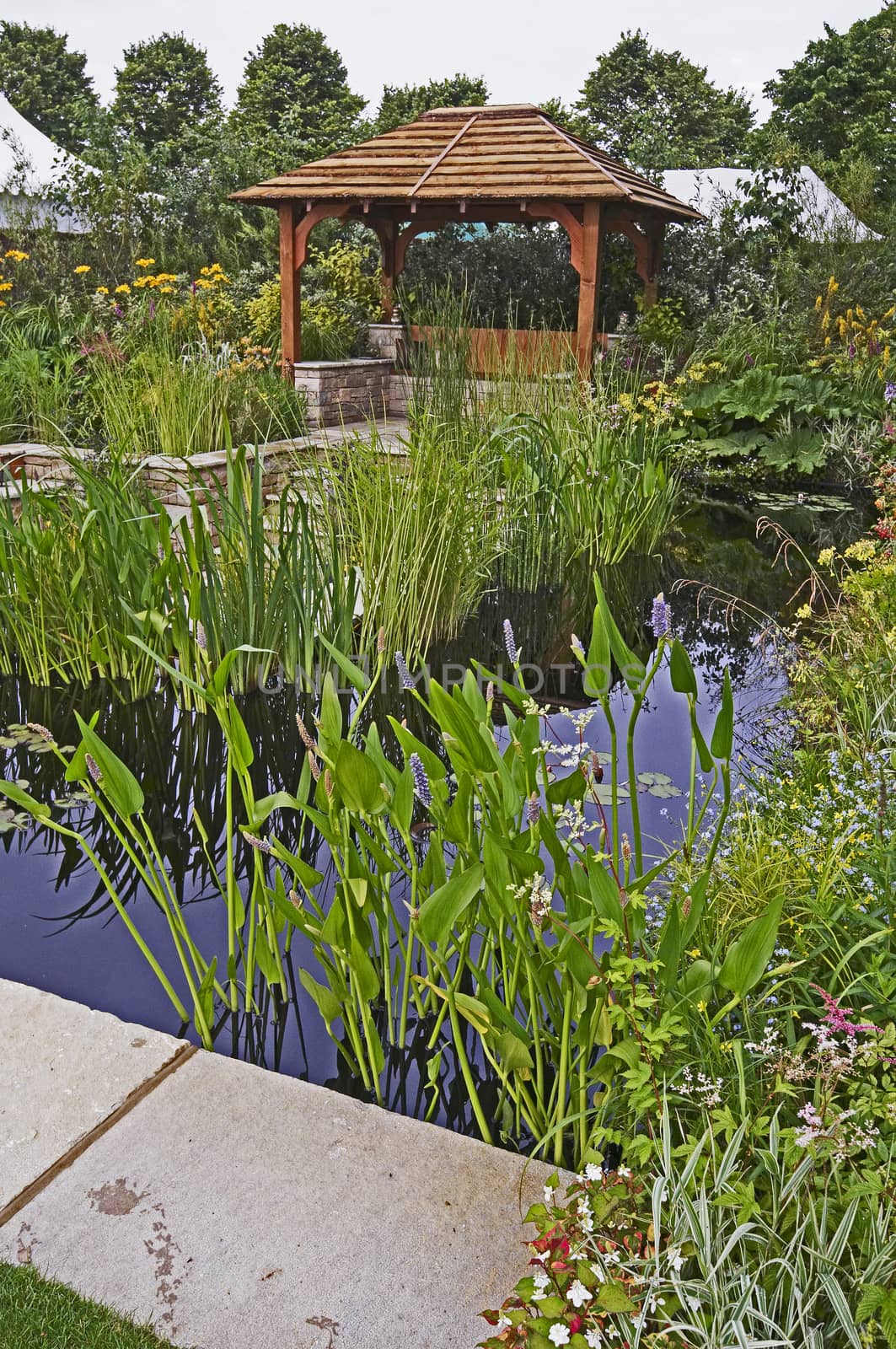 A colourful garden with water features a summer house and exotic plants and flowers