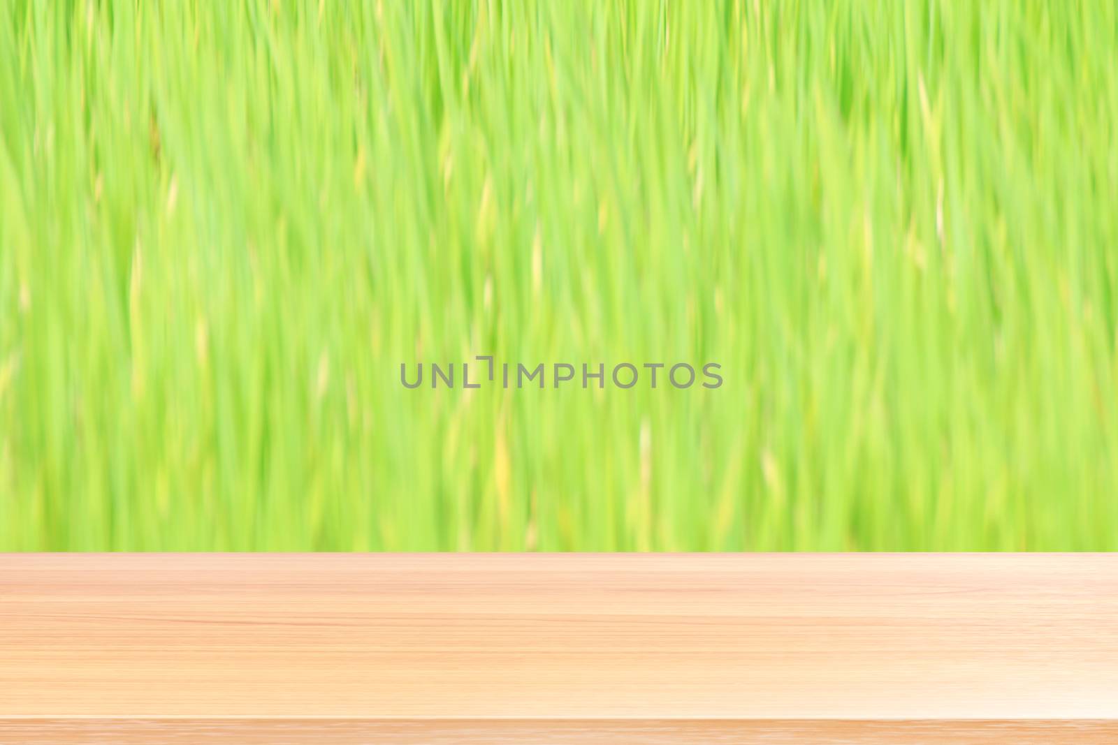 wood plank on blurred rice plantation background green, empty wood table floors on field rice plant paddy farm, wood table board empty front rice plant for mock up display products rice by cgdeaw