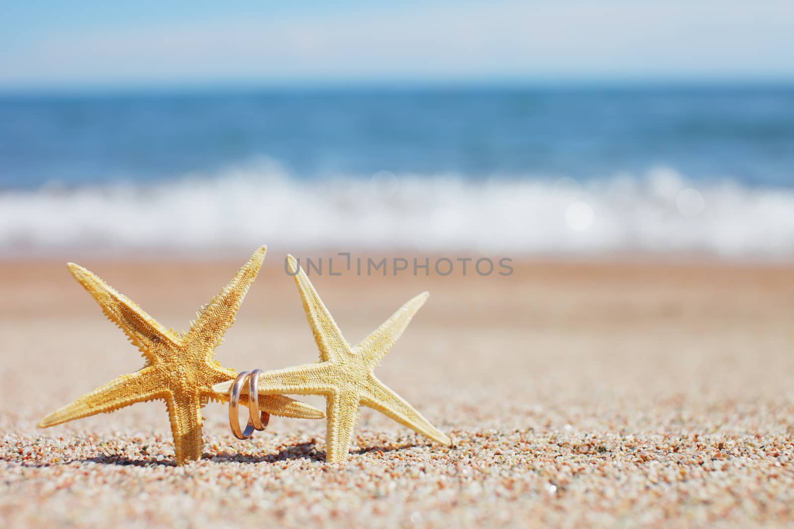 Starfish with wedding rings on the beach. Summer vacation concept. Family holidays by the sea by selinsmo