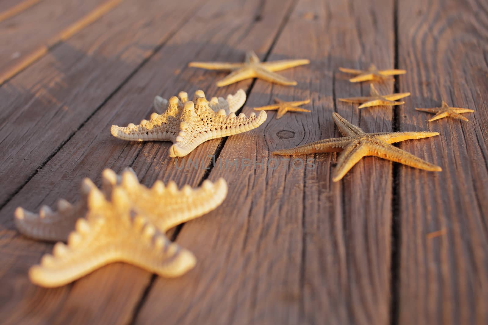 Starfish on a wooden pier poured over a wooden deck. Summer vacation concept. Holidays by the sea by selinsmo