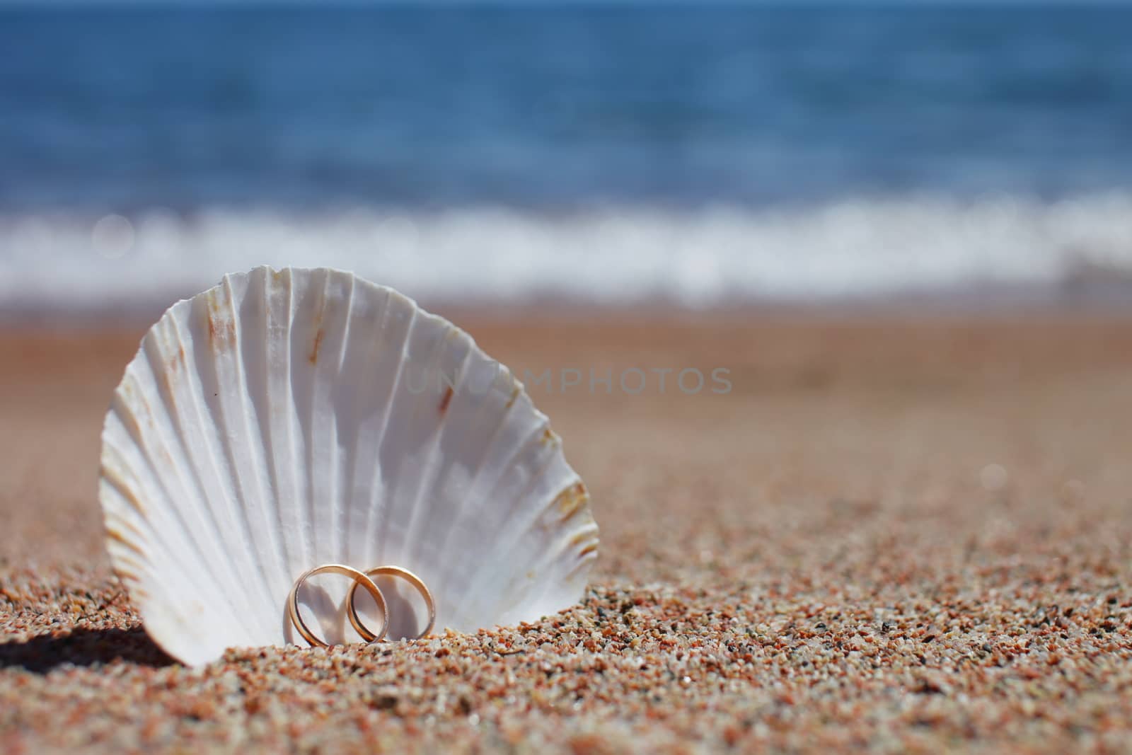 Sea shells with wedding rings on the beach. Summer vacation concept. Family holidays by the sea by selinsmo
