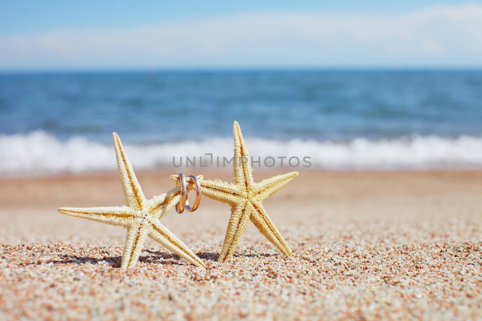 Starfish with wedding rings on the beach. Summer vacation concept. Family holidays by the sea by selinsmo
