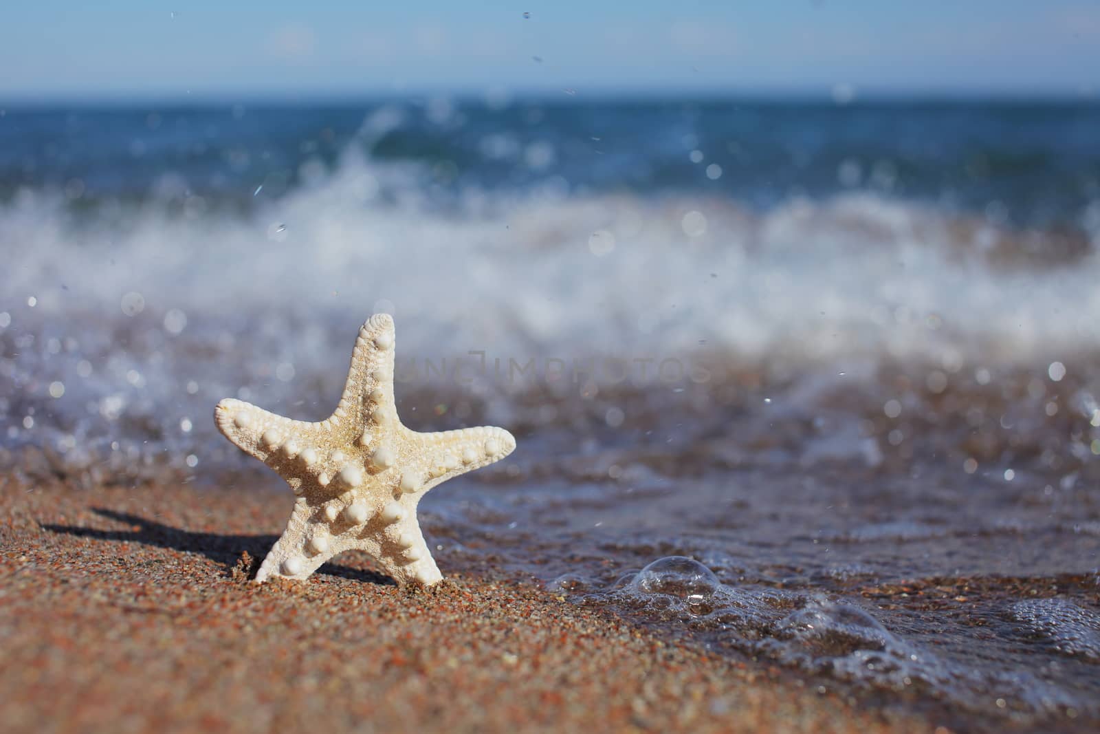 Starfish on the beach. Sandy beach with waves. Summer vacation concept. Holidays by the sea. High quality photo