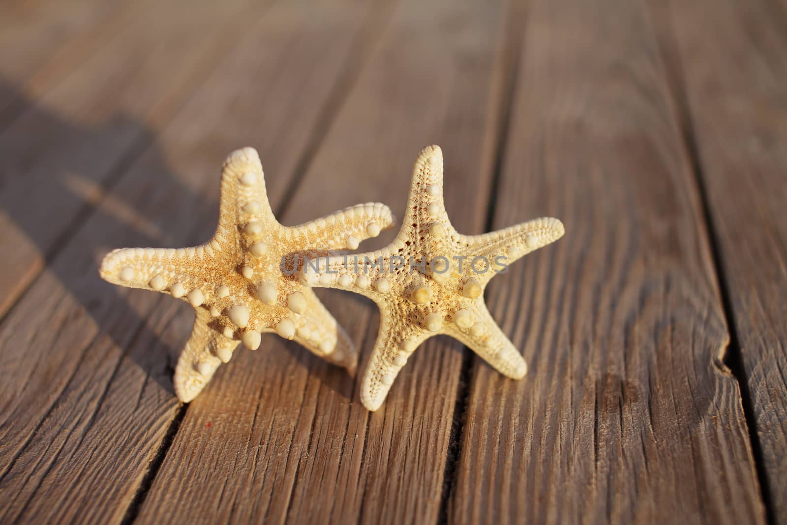 Starfish on a wooden pier poured over a wooden deck. Summer vacation concept. Holidays by the sea by selinsmo