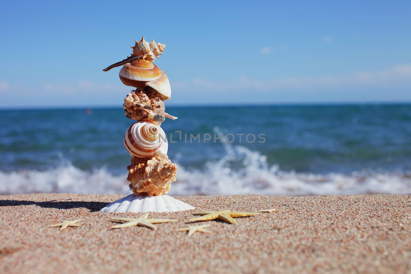 Sea shells and starfish on the beach. Sandy beach with waves. Summer vacation concept. Holidays by the sea. High quality photo