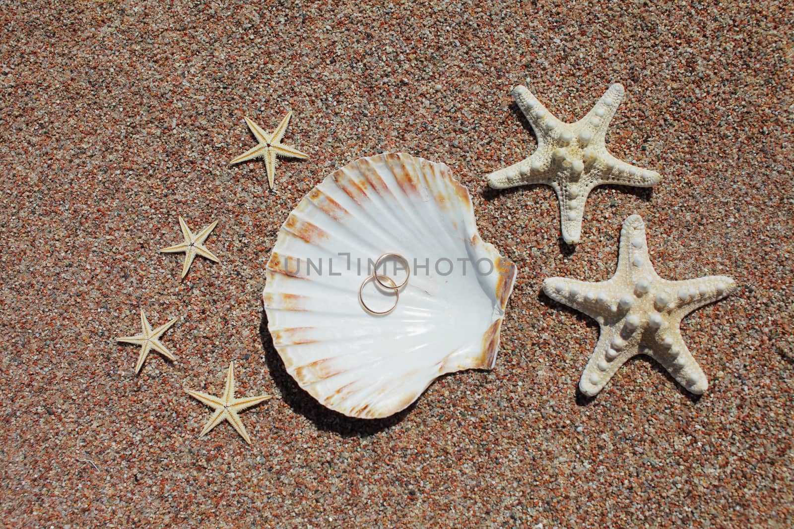 Sea shells and starfish with wedding rings on the beach. Summer vacation concept. Family holidays by the sea. High quality photo