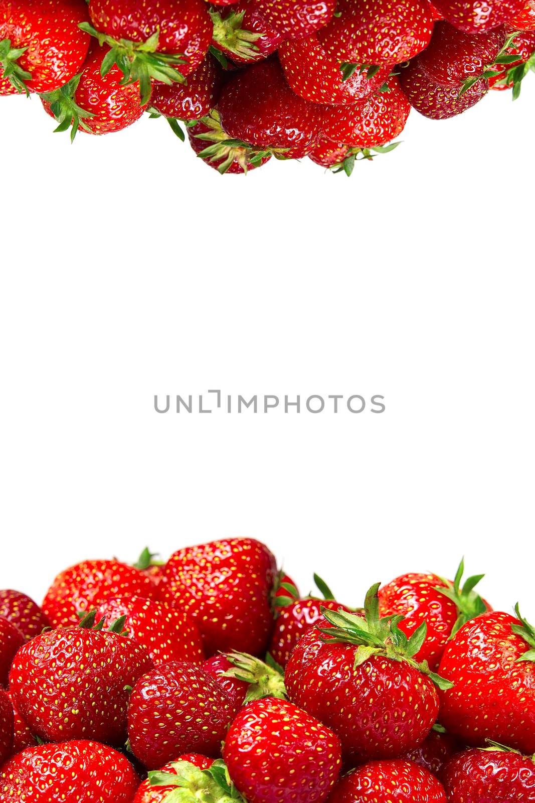 organic red strawberries on white background, banner , mockup for text