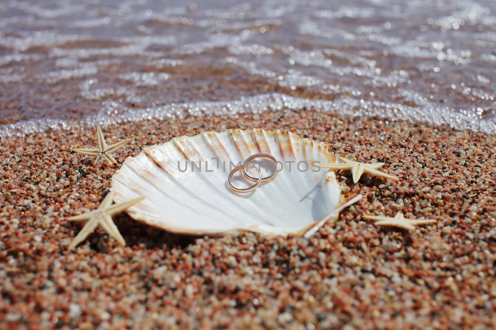 Sea shells and starfish with wedding rings on the beach. Summer vacation concept. Family holidays by the sea. High quality photo